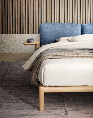 2 Dinosio von Pianca