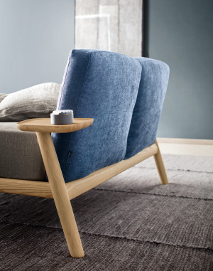 3 Dinosio von Pianca